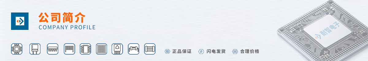 Xilinx(����˼)��˾����