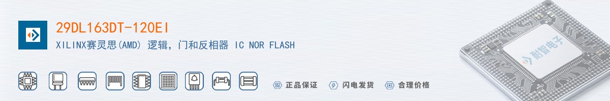29DL163DT-120EI������