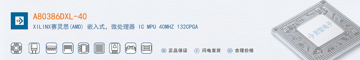 A80386DXL-40������