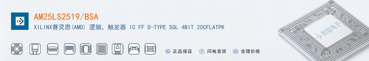 AM25LS2519/BSA������