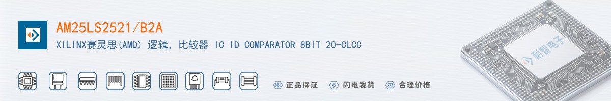 AM25LS2521/B2A������