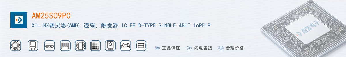 AM25S09PC������