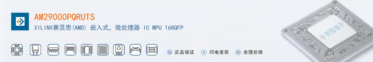 AM29000PQRUTS������