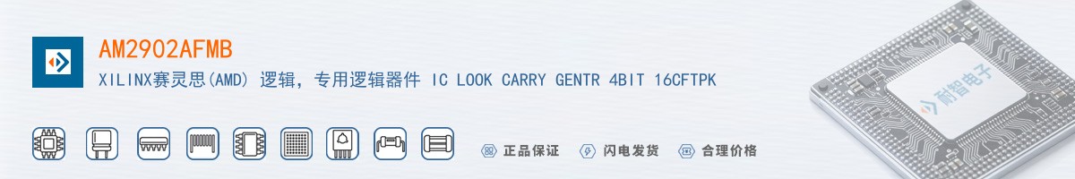 AM2902AFMB������