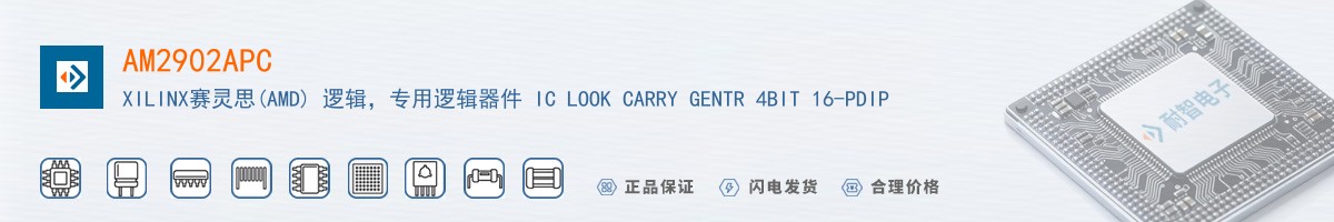 AM2902APC������