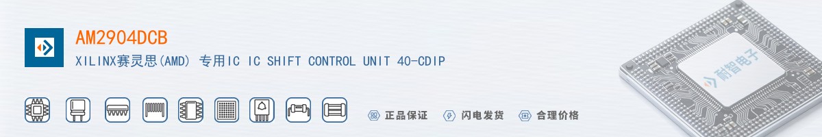 AM2904DCB������