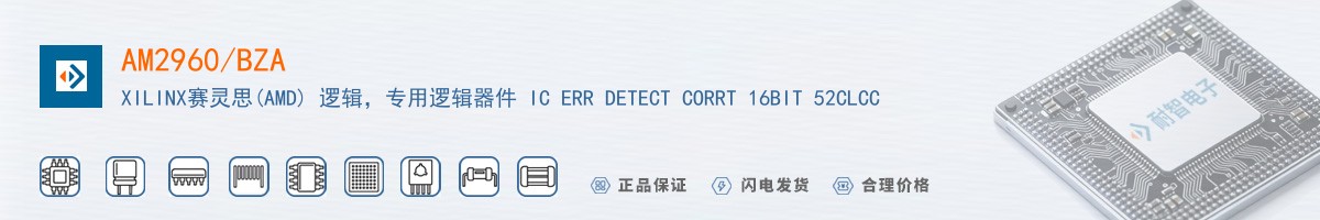 AM2960/BZA������