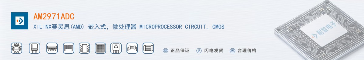AM2971ADC������