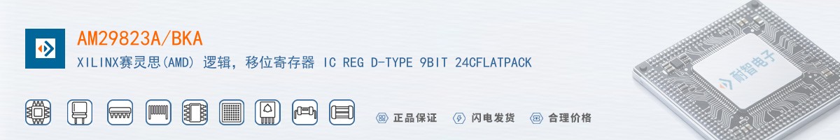 AM29823A/BKA������