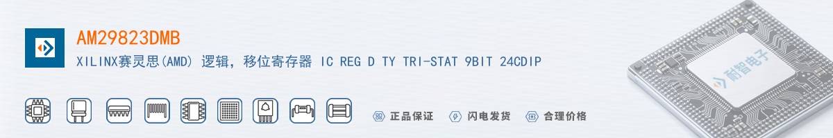 AM29823DMB������