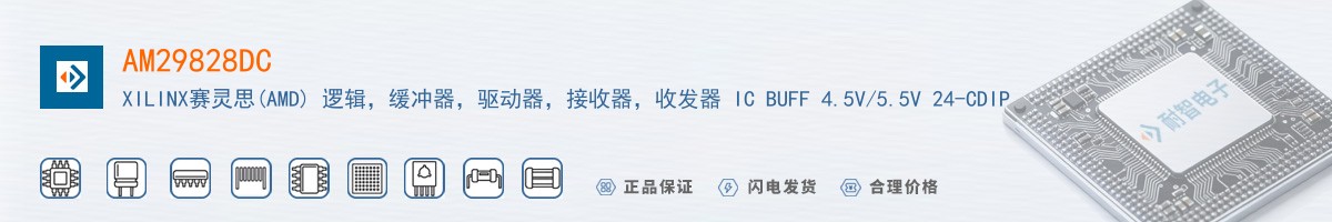 AM29828DC������