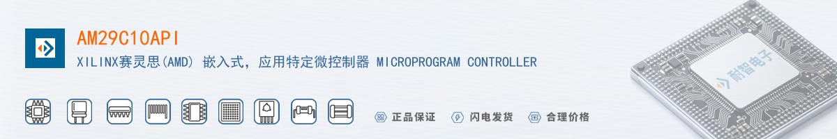 AM29C10API������