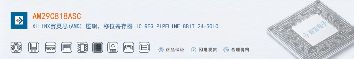 AM29C818ASC������
