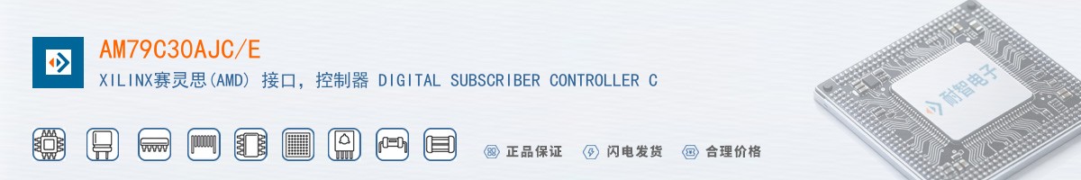 AM79C30AJC/E������