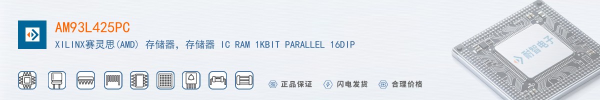 AM93L425PC������