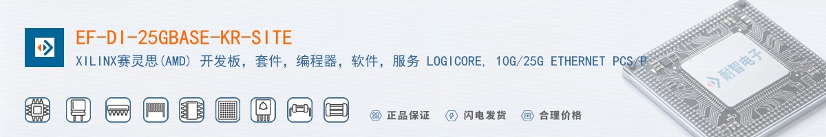 EF-DI-25GBASE-KR-SITE������