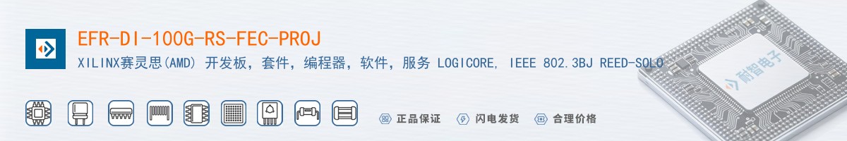 EFR-DI-100G-RS-FEC-PROJ������