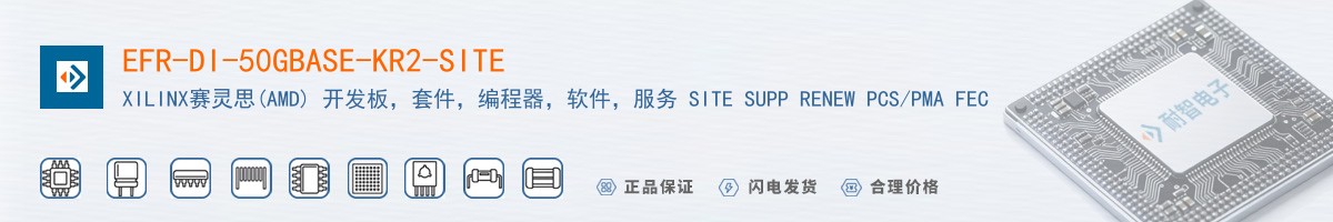 EFR-DI-50GBASE-KR2-SITE������