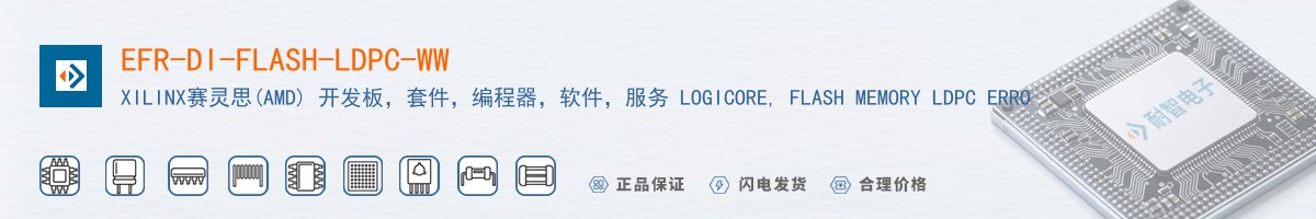 EFR-DI-FLASH-LDPC-WW������