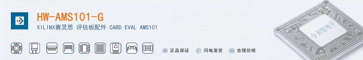 HW-AMS101-G������