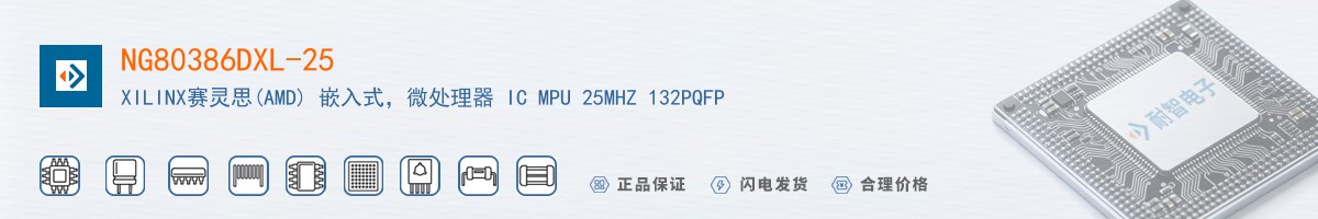 NG80386DXL-25������