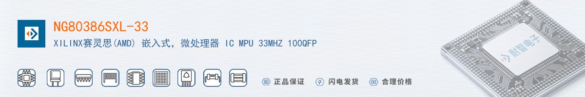 NG80386SXL-33������