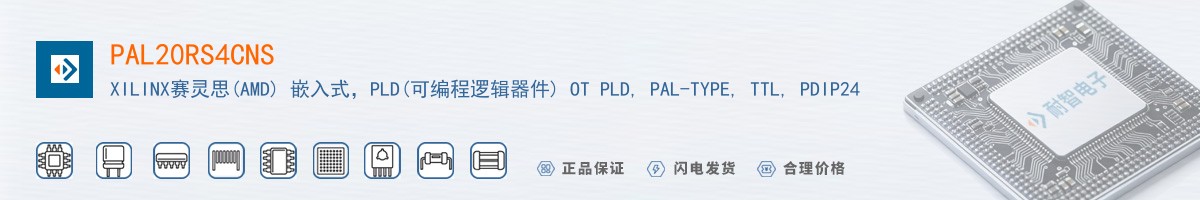 PAL20RS4CNS������
