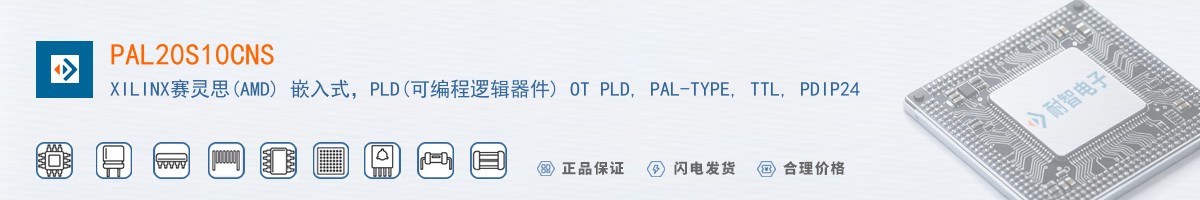 PAL20S10CNS������