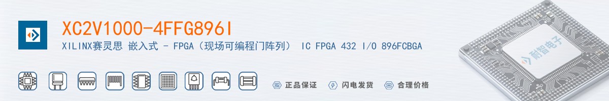 XC2V1000-4FFG896I������