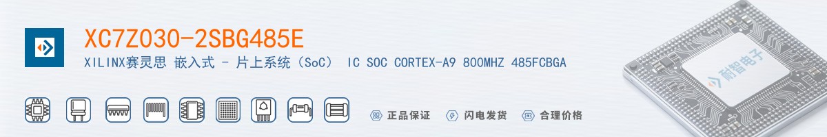 XC7Z030-2SBG485E������