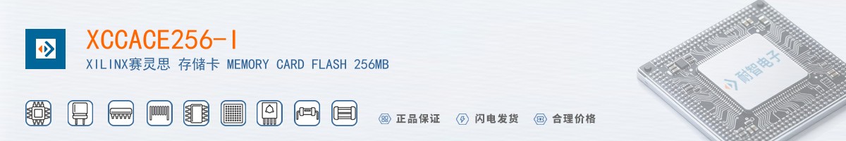 XCCACE256-I������