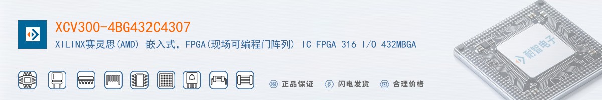 XCV300-4BG432C4307������