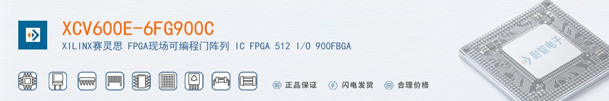 XCV600E-6FG900C������