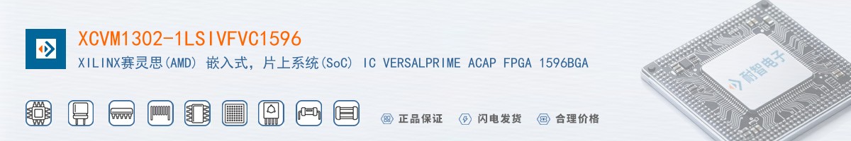 XCVM1302-1LSIVFVC1596������