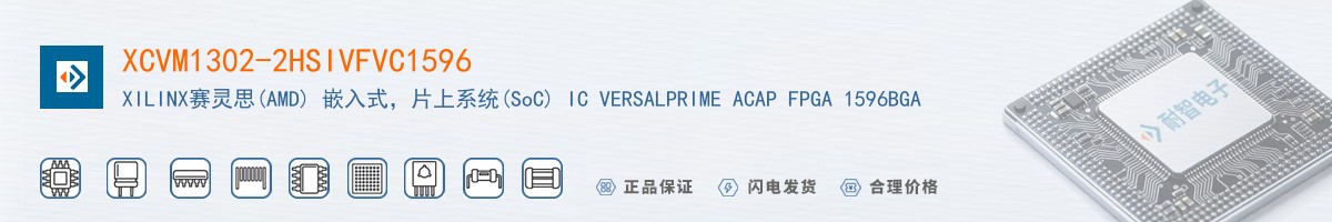XCVM1302-2HSIVFVC1596������