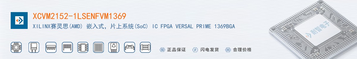 XCVM2152-1LSENFVM1369������