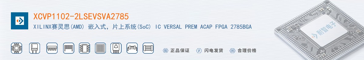 XCVP1102-2LSEVSVA2785������