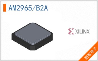 AM2965/B2A