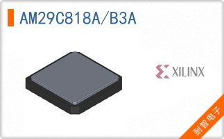 AM29C818A/B3A