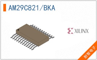 AM29C821/BKA