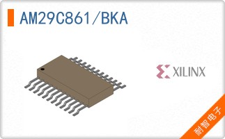 AM29C861/BKA