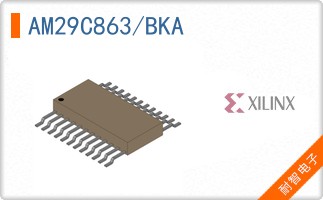 AM29C863/BKA