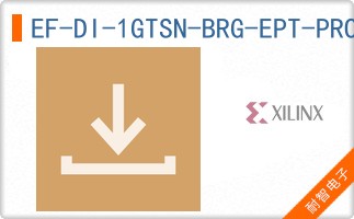 EF-DI-1GTSN-BRG-EPT-PROJ