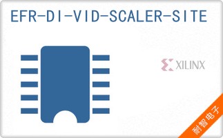 EFR-DI-VID-SCALER-SI
