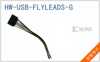 HW-USB-FLYLEADS-G