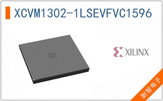 XCVM1302-1LSEVFVC1596